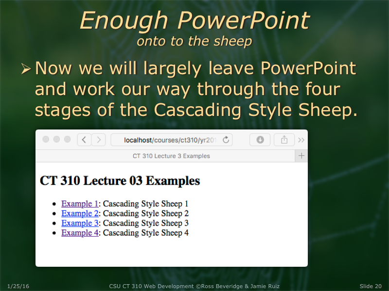 PowerPoint Slide 20