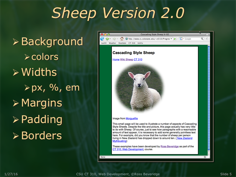 PowerPoint Slide 5