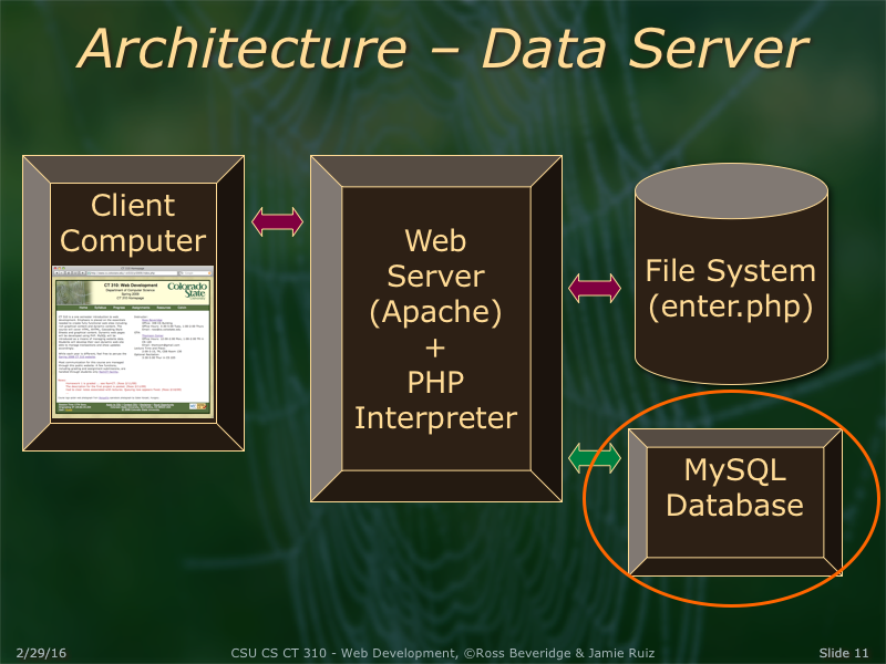 PowerPoint Slide 11