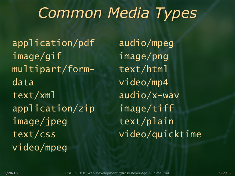 PowerPoint Slide 5