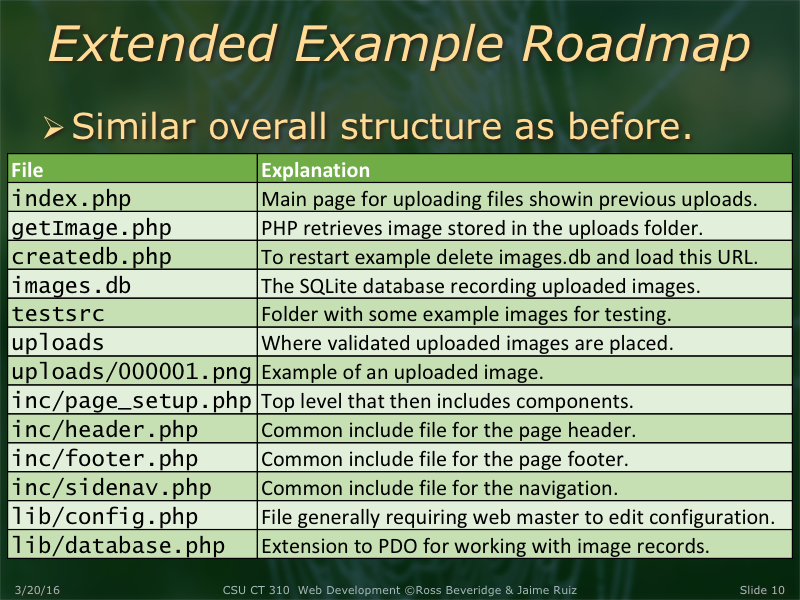 PowerPoint Slide 10