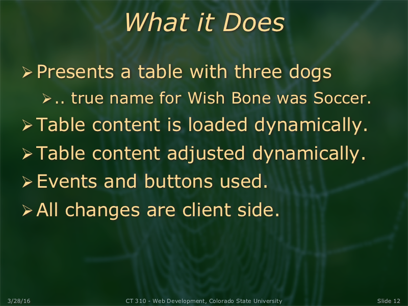 PowerPoint Slide 12