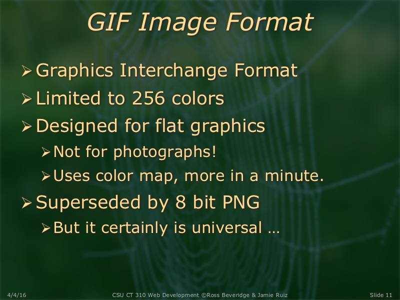 PowerPoint Slide 11