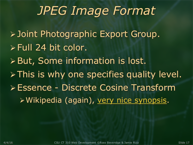 PowerPoint Slide 17