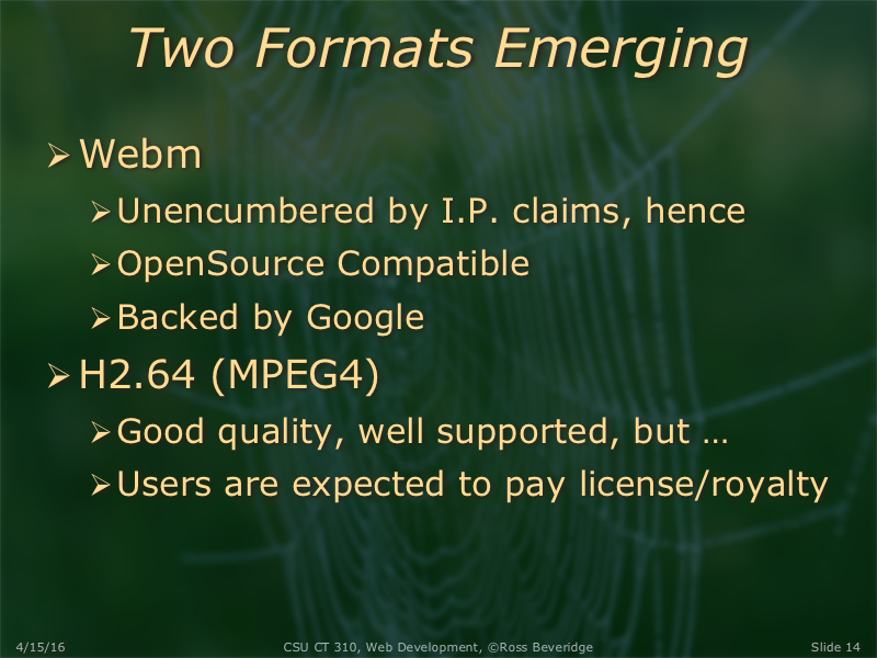 PowerPoint Slide 14