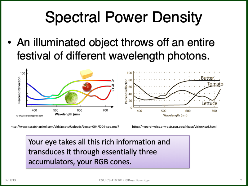 PowerPoint Slide 7