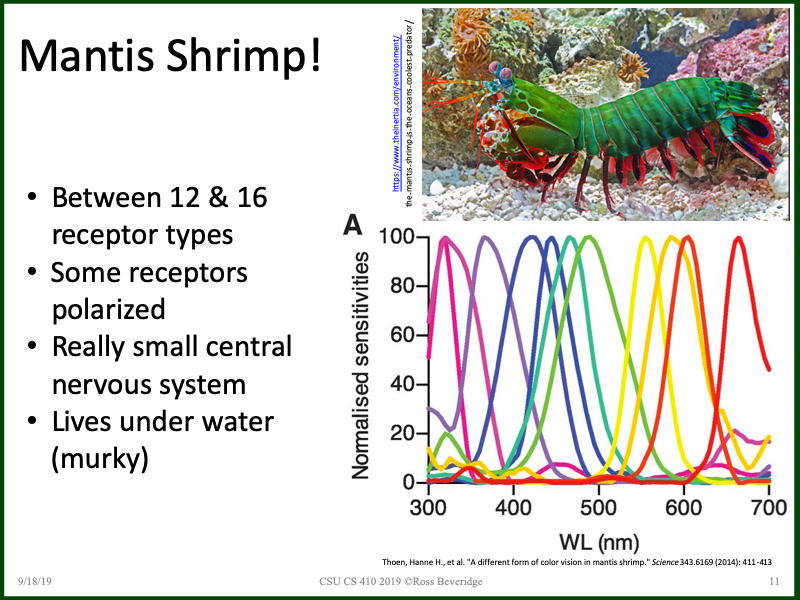 PowerPoint Slide 11