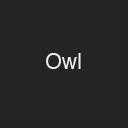 Template for word Owl